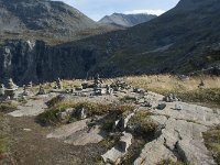 N, More og Romsdal, Rauma, Trollstigen 62, Saxifraga-Annemiek Bouwman