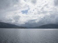 N, Nordland, Alstahaug, Langholmen 9, Saxifraga-Willem van Kruijsbergen