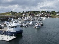 N, Nordland, Alstahaug, Tjotta 24, Saxifraga-Willem van Kruijsbergen