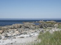 N, Nordland, Andoy, Bleik 2, Saxifraga-Willem van Kruijsbergen