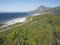 N, Nordland, Andoy, Bleikmorenen 34, Saxifraga-Willem van Kruijsbergen