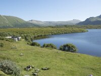 N, Nordland, Andoy, Bleikmorenen 35, Saxifraga-Willem van Kruijsbergen