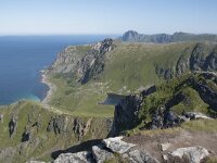 N, Nordland, Andoy, Matind 17, Saxifraga-Willem van Kruijsbergen