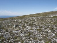 N, Nordland, Andoy, Nonstinden 20, Saxifraga-Willem van Kruijsbergen