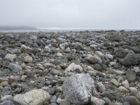 N, Nordland, Andoy, Noss 3, Saxifraga-Willem van Kruijsbergen