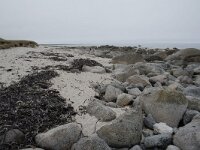 N, Nordland, Andoy, Sandhaugan 17, Saxifraga-Willem van Kruijsbergen