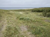 N, Nordland, Andoy, Sandhaugan 27, Saxifraga-Willem van Kruijsbergen