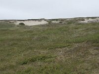 N, Nordland, Andoy, Sandhaugan 9, Saxifraga-Willem van Kruijsbergen