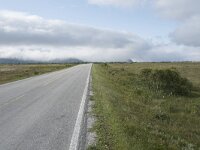 N, Nordland, Andoy, Skarstein 30, Saxifraga-Willem van Kruijsbergen