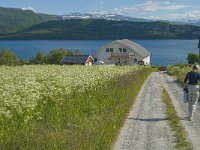 N, Nordland, Fauske 2, Saxifraga-Jan van der Straaten