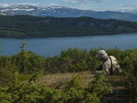 N, Nordland, Fauske 6, Saxifraga-Marijke Verhagen