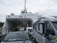 N, Nordland, Meloy, Foroy 2, Saxifraga-Willem van Kruijsbergen