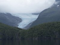 N, Nordland, Meloy, Svartisen 47, Saxifraga-Willem van Kruijsbergen