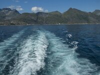 N, Nordland, Moskenes 13, Saxifraga-Marijke Verhagen