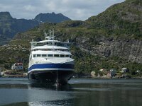 N, Nordland, Moskenes 2, Saxifraga-Marijke Verhagen