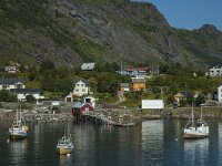 N, Nordland, Moskenes 5, Saxifraga-Marijke Verhagen