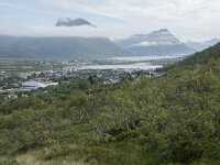 N, Nordland, Myre 3, Saxifraga-Willem van Kruijsbergen