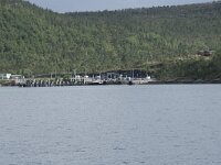 N, Nordland, Narvik, Skarberget 2, Saxifraga-Willem van Kruijsbergen