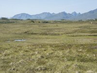 N, Nordland, Oksnes, Gisloya 14, Saxifraga-Willem van Kruijsbergen