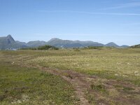 N, Nordland, Oksnes, Gisloya 15, Saxifraga-Willem van Kruijsbergen