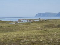 N, Nordland, Oksnes, Gisloya 16, Saxifraga-Willem van Kruijsbergen