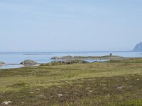 N, Nordland, Oksnes, Gisloya 19, Saxifraga-Willem van Kruijsbergen