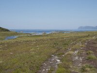 N, Nordland, Oksnes, Gisloya 47, Saxifraga-Willem van Kruijsbergen