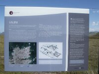 N, Nordland, Oksnes, Gisloya 53, Saxifraga-Willem van Kruijsbergen