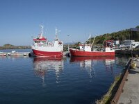 N, Nordland, Oksnes, Sto 2, Saxifraga-Willem van Kruijsbergen