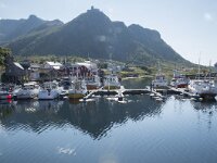 N, Nordland, Oksnes, Sto 3, Saxifraga-Willem van Kruijsbergen