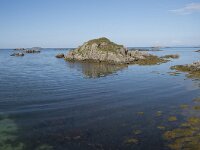 N, Nordland, Oksnes, Sto 8, Saxifraga-Willem van Kruijsbergen