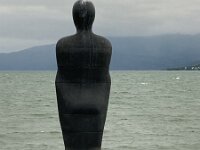 N, Nordland, Rana, Mo i Rana 2, Saxifraga-Willem van Kruijsbergen