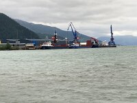 N, Nordland, Rana, Mo i Rana 3, Saxifraga-Willem van Kruijsbergen