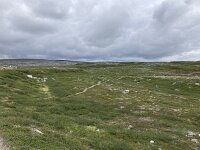 N, Nordland, Rana, Storforshei 6, Saxifraga-Willem van Kruijsbergen