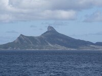 N, Nordland, Rodoy, Rodoya 1, Saxifraga-Willem van Kruijsbergen