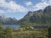 N, Nordland, Vagan, Austnesfjorden 4, Saxifraga-Willem van Kruijsbergen