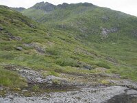 N, Nordland, Vagan, Djeveldalen 17, Saxifraga-Willem van Kruijsbergen