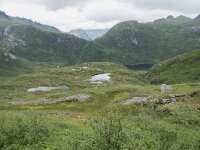 N, Nordland, Vagan, Djeveldalen 18, Saxifraga-Willem van Kruijsbergen