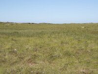 N, Nordland, Vagan, Gimsoya, Hoven 6, Saxifraga-Willem van Kruijsbergen