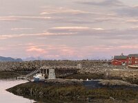 N, Nordland, Vagan, Kabelvag 7, Saxifraga-Willem van Kruijsbergen