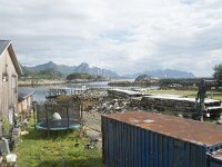 N, Nordland, Vagan, Kabelvag 9, Saxifraga-Willem van Kruijsbergen