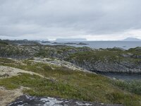 N, Nordland, Vagan, Orsnes 21, Saxifraga-Willem van Kruijsbergen