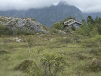 N, Nordland, Vagan, Orsnes 4, Saxifraga-Willem van Kruijsbergen