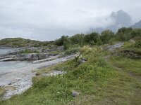 N, Nordland, Vagan, Orsnes 8, Saxifraga-Willem van Kruijsbergen