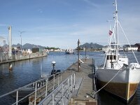 N, Nordland, Vagan, Svolvaer 1, Saxifraga-Willem van Kruijsbergen