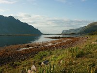 N, Nordland, Vestvagoy, Eggum 1, Saxifraga-Marjan van der Heide