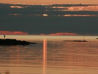 N, Nordland, Vestvagoy, Eggum 7, Saxifraga-Marjan van der Heide