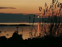 N, Nordland, Vestvagoy, Eggum 8, Saxifraga-Marjan van der Heide