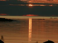 N, Nordland, Vestvagoy, Eggum 9, Saxifraga-Marjan van der Heide