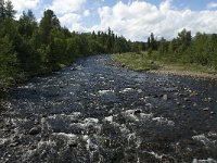 N, Oppland, Sel, Frydalen 1, Saxifraga-Jan van der Straaten